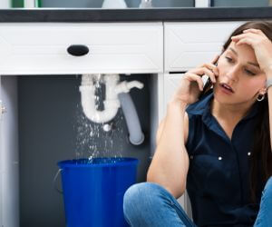 About Plumbers Pros Roseglen, ND